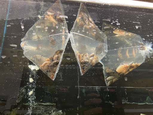 Pet Store «Pet World Warehouse Outlet», reviews and photos, 2148 W Beltline Hwy, Madison, WI 53713, USA