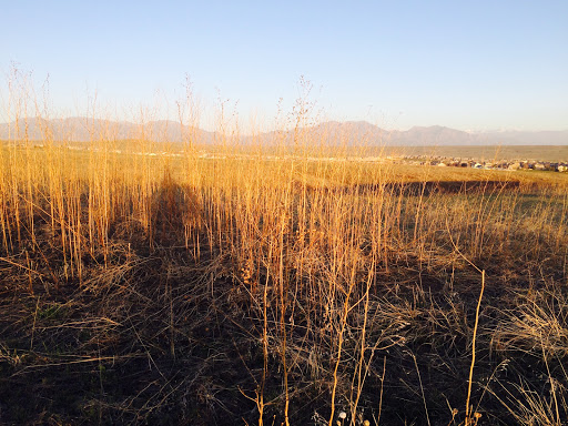 Golf Club «Omni Interlocken Golf Club», reviews and photos, 800 Eldorado Blvd, Broomfield, CO 80021, USA