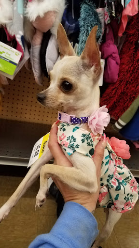 Pet Supply Store «Pet Supplies Plus», reviews and photos, 319 N Berkeley Blvd, Goldsboro, NC 27534, USA