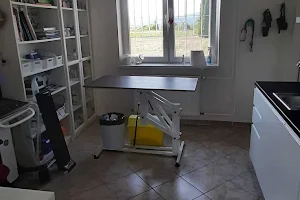 Veterinárna ambulancia Dubnica nad Váhom image