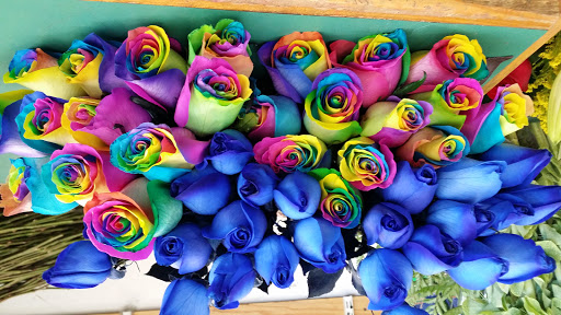 Produce Market «Ledgewood Farm», reviews and photos, 1013 US-46, Ledgewood, NJ 07852, USA