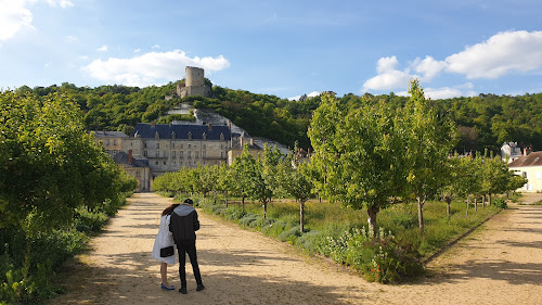 Château de La Roche-Guyon à La Roche-Guyon