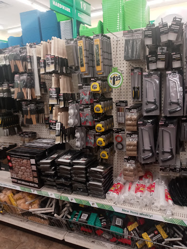 Dollar Store «Dollar Tree», reviews and photos, 9221 N 56th St, Temple Terrace, FL 33617, USA