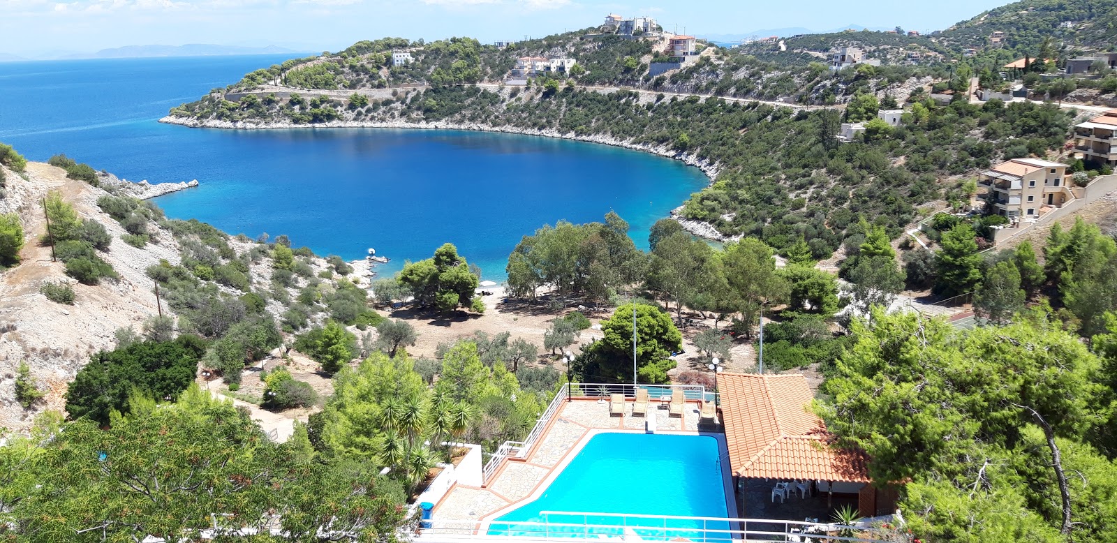 Foto di Mikro Ammoni con una superficie del acqua cristallina