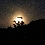 Photo n°2 de l'avis de Daniele.i fait le 26/06/2021 à 11:56 sur le  Hotel Arenella à Isola del Giglio