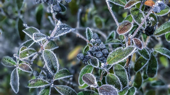Opinii despre Neue Apotheke în Freiburg - Apotheke