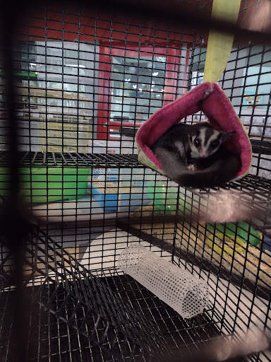 Pet Store «Exotic Tropical Petworld LLC.», reviews and photos, 1716 W Hackberry Ave, McAllen, TX 78501, USA