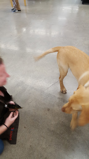 Pet Supply Store «Petco Animal Supplies», reviews and photos, 3454 Palmer Dr #7a, Cameron Park, CA 95682, USA