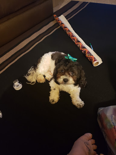 Pet Supply Store «Pet Valu», reviews and photos, 541 S Breiel Blvd, Middletown, OH 45044, USA