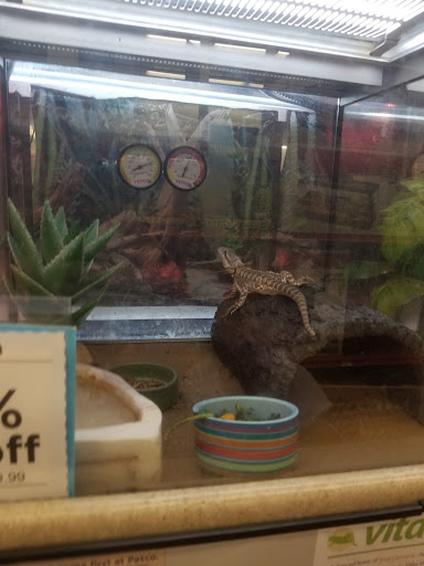 Pet Supply Store «Petco Animal Supplies», reviews and photos, 3380 124th Ave NW, Coon Rapids, MN 55433, USA