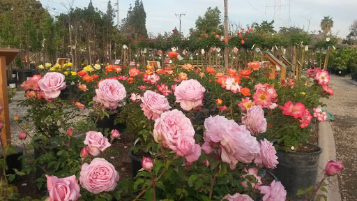 Glendora Gardens Nursery image