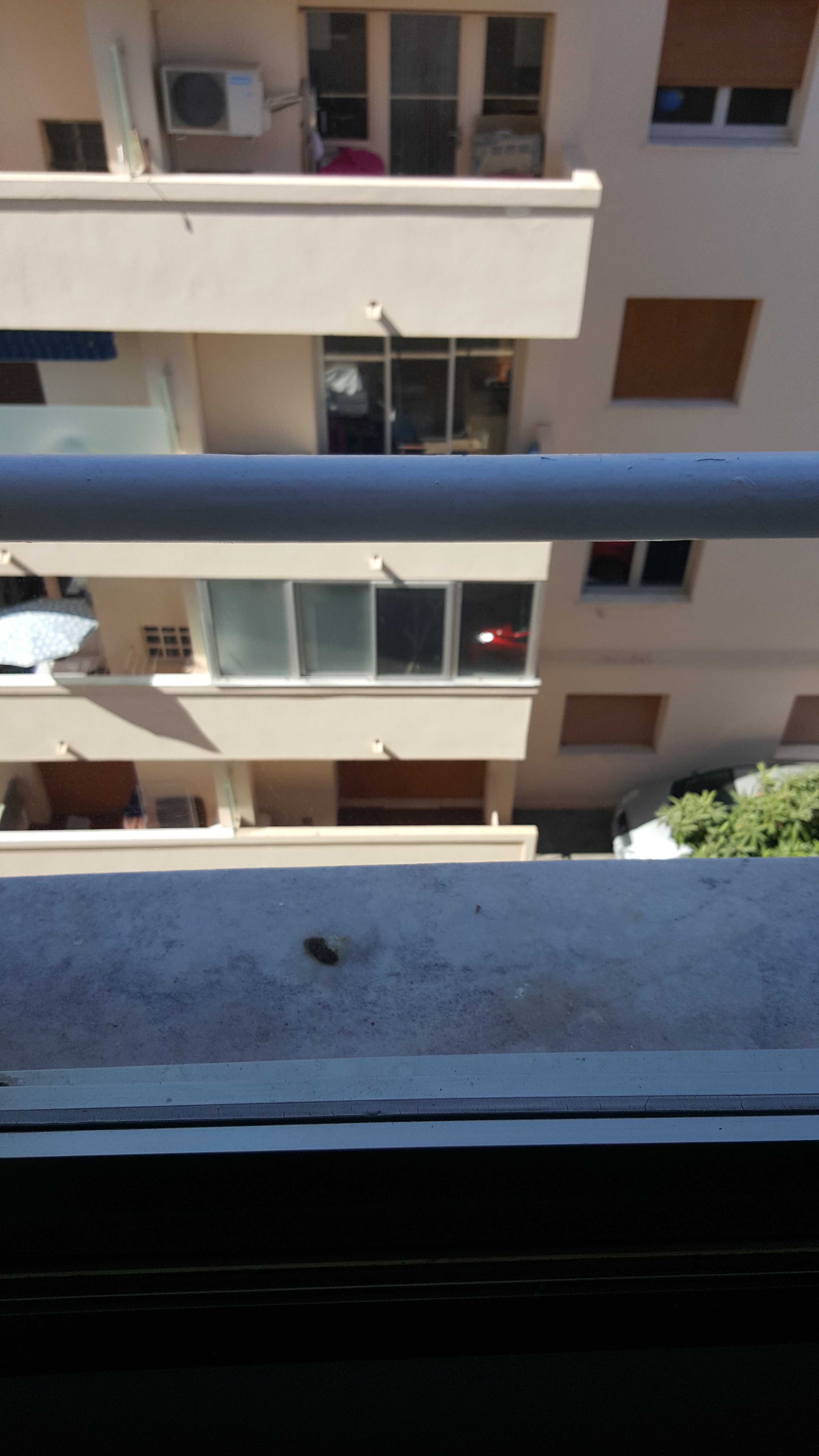 Photo n° 22 de l'avis de Raffles.u fait le 14/08/2017 à 14:06