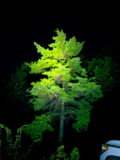 Nature Preserve «Oak Cliff Nature Preserve», reviews and photos, 2875 Pierce Street, Dallas, TX 75233, USA