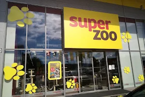 Super zoo image