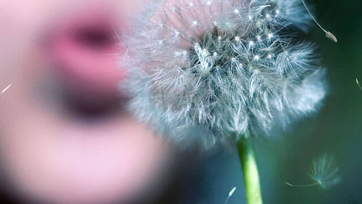 Allergy and Acupuncture Clinic