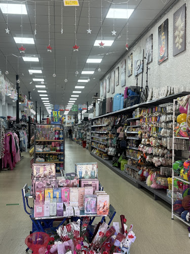 Galería Los Carrera