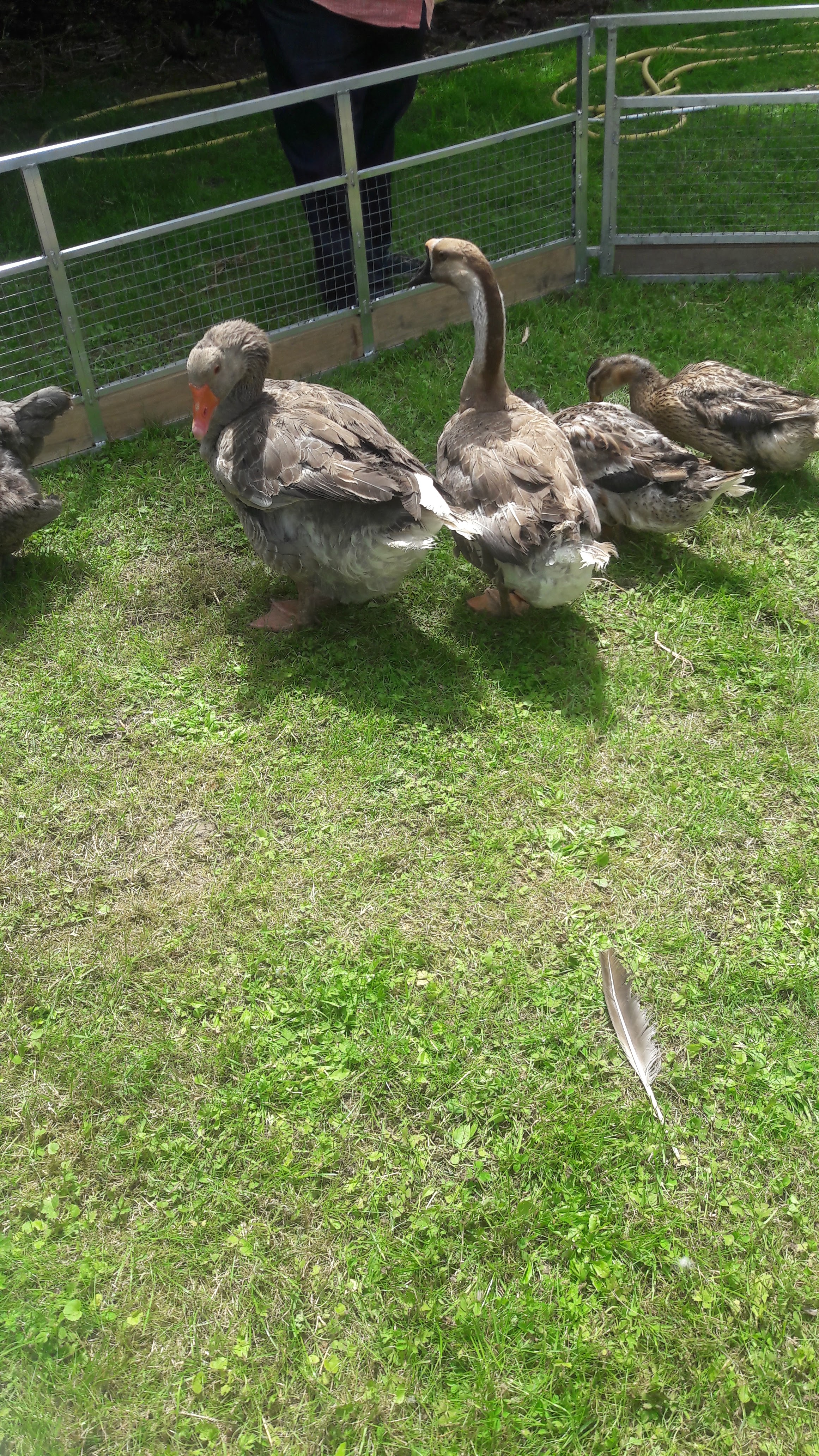 Photo n° 20 de l'avis de monique.O fait le 21/04/2018 à 14:04