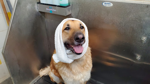 Pet Supply Store «Pet Supplies Plus», reviews and photos, 311 Sagamore Pkwy N, Lafayette, IN 47904, USA