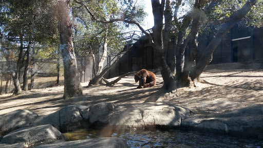 Wildlife Refuge «Folsom City Zoo Sanctuary», reviews and photos, 403 Stafford St, Folsom, CA 95630, USA