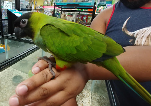 Pet Supply Store «Our Pet World», reviews and photos, 380 Semoran Commerce Pl, Apopka, FL 32703, USA