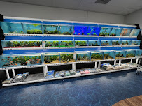 Pet Supermarket - Photo 3 - Car repair in Deerfield Beach, FL, Fort Lauderdale