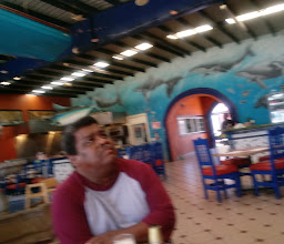 Las Gaviotas Restaurante photo