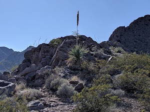 Chihuahuan Desert Nature Park - photo 32