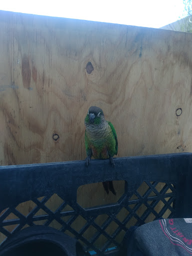 Pet Supply Store «Pet Supermarket, Inc.», reviews and photos, 598 N McCarran Blvd, Sparks, NV 89431, USA