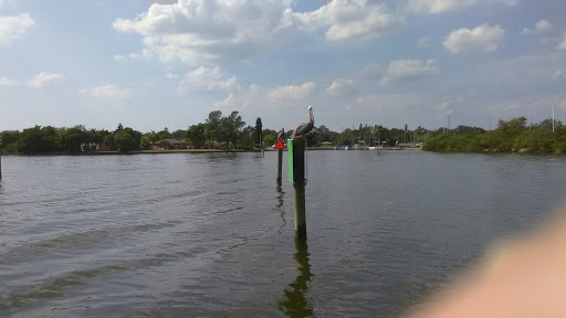 Boat Tour Agency «Dolphin Snorkeling Cruise», reviews and photos, 4630 29th Ave S, Gulfport, FL 33711, USA