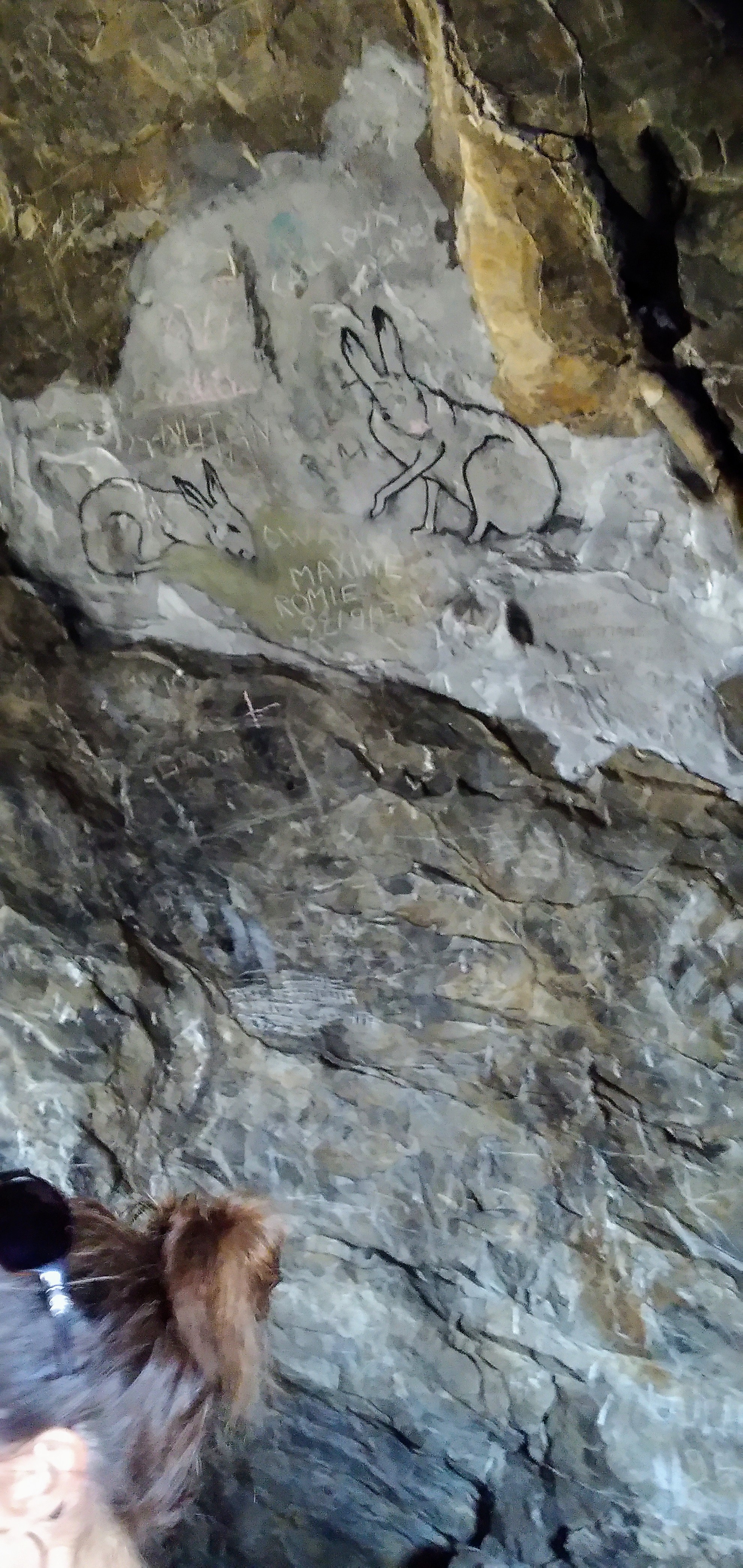 Photo n° 2 de l'avis de audrey.a fait le 06/05/2019 à 14:33