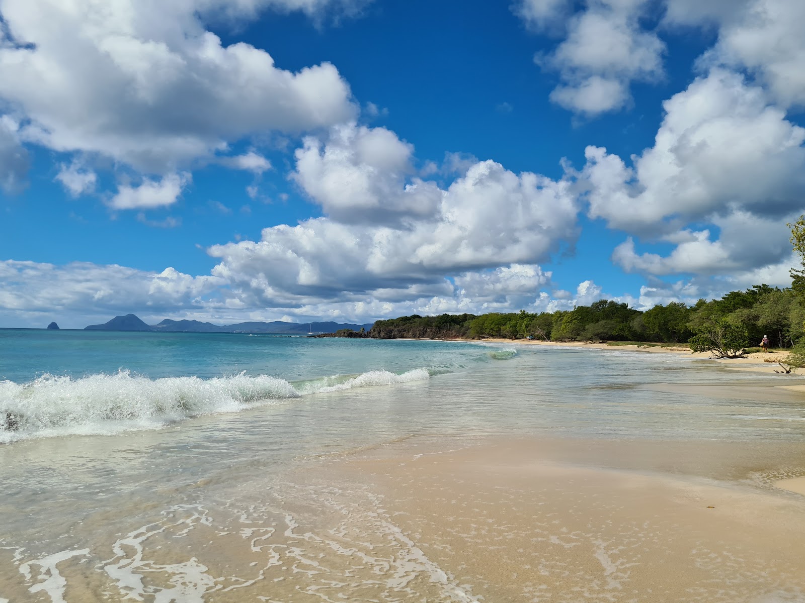 Foto di Petite Anse des Salines con una superficie del sabbia beige