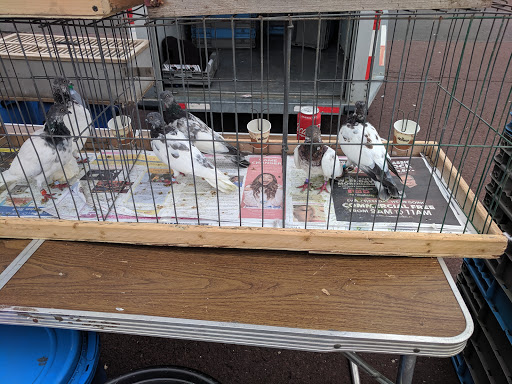 Pest Control Service «Moyer Indoor | Outdoor», reviews and photos, 113 E Reliance Rd, Souderton, PA 18964, USA