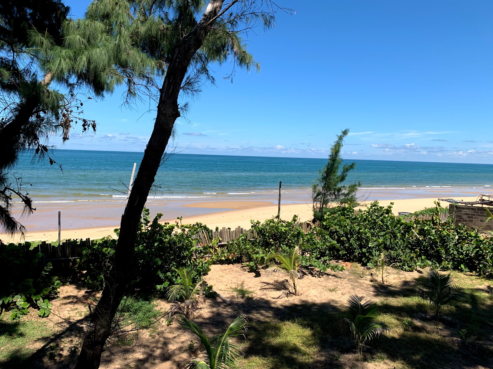 Phan Thiet Beach的照片 带有长直海岸