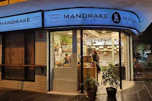 Café Mandrake image