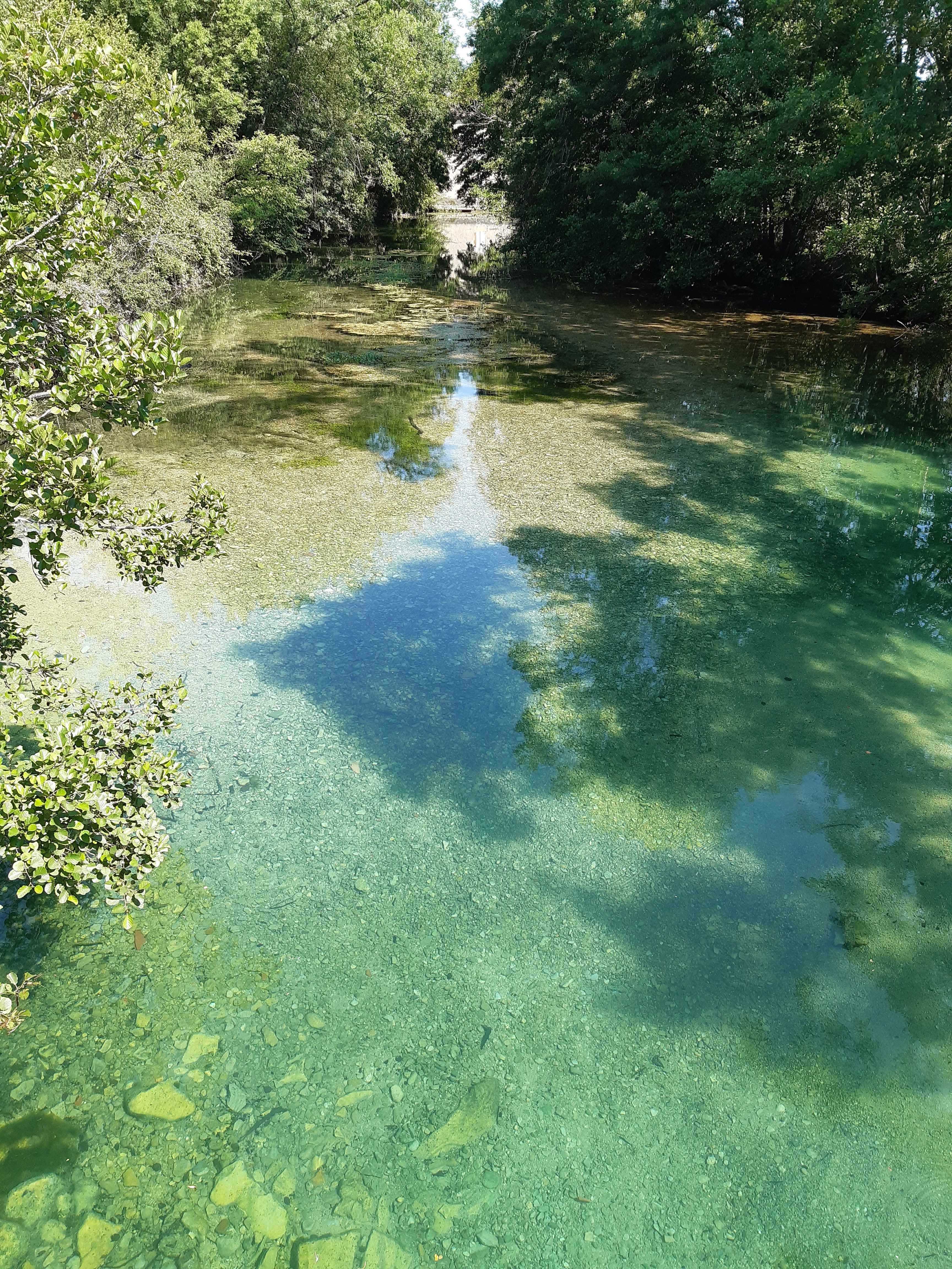 Photo n° 3 de l'avis de Detlev.r fait le 22/07/2020 à 13:50