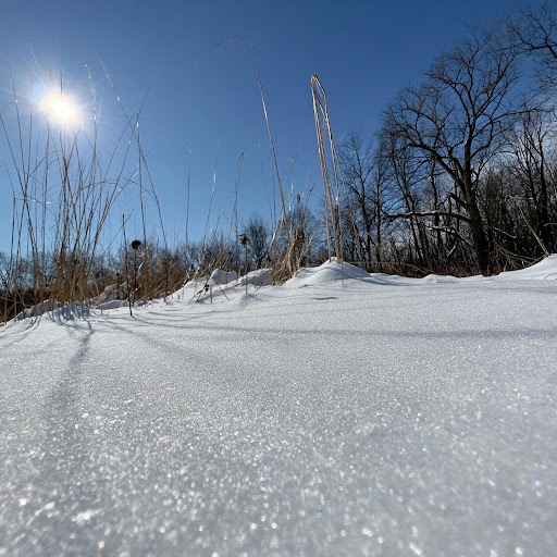 Park «Hickory Creek Preserve - LaPorte Road Access», reviews and photos, 10537 W La Porte Rd, Mokena, IL 60448, USA