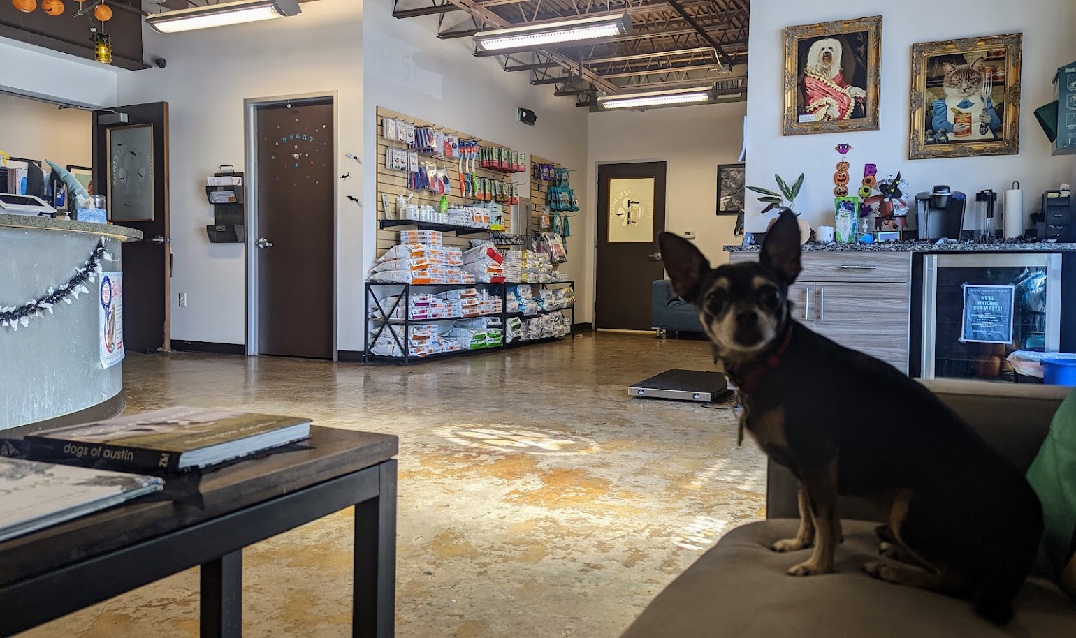 Austin Urban Veterinary Center