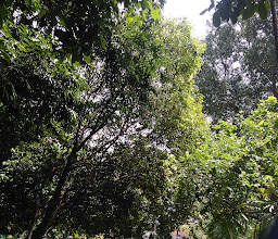 Taman BACANG photo