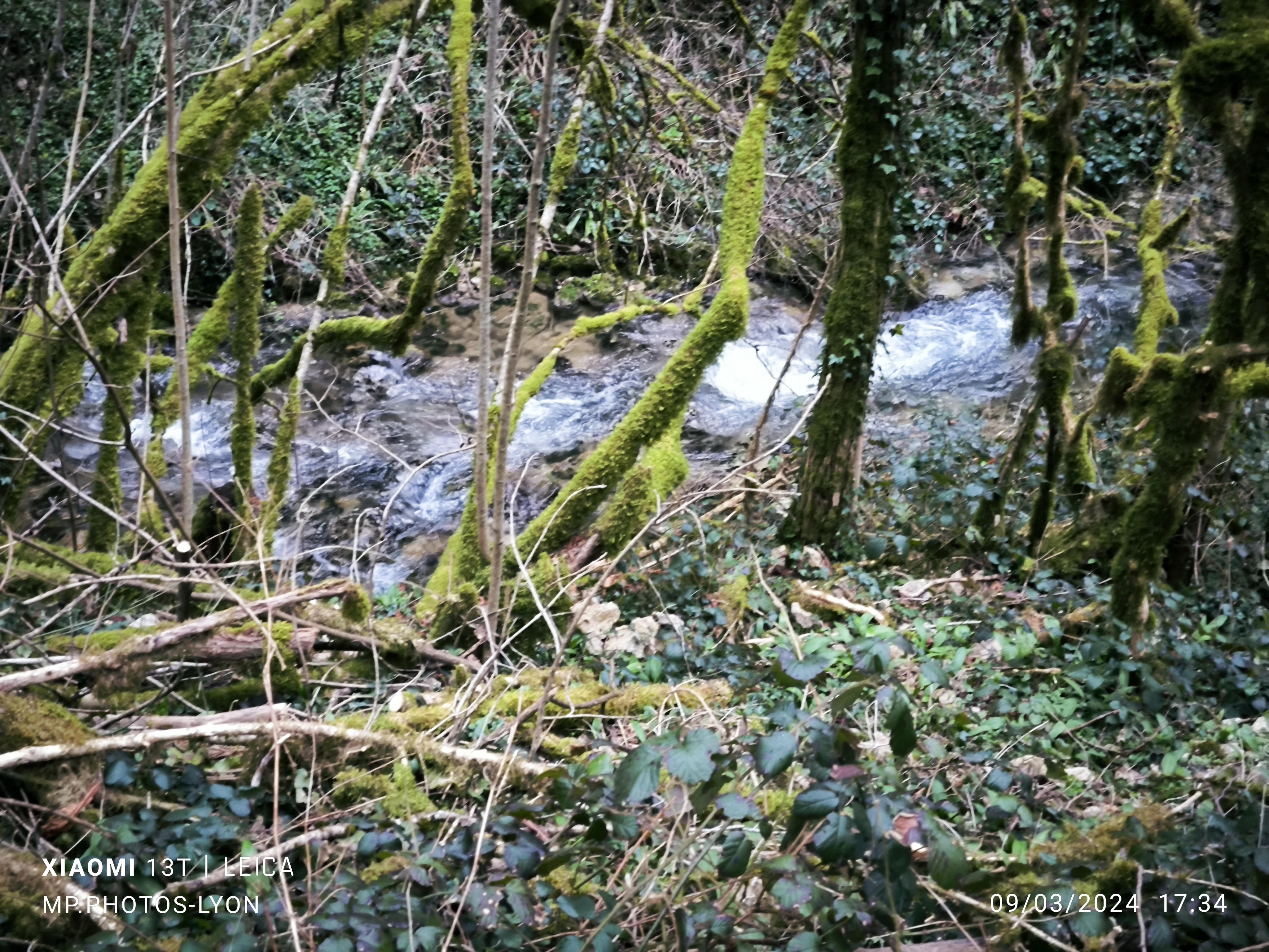 Photo n° 18 de l'avis de MARC.O fait le 17/03/2024 à 17:58