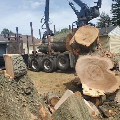 Braun's tree service