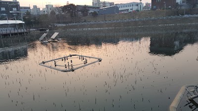 Photos of 봉담호수공원