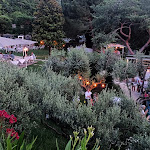 Photo n°4 de l'avis de Daniele.i fait le 23/07/2023 à 12:51 sur le  San Mattia Osteria Pizzeria Lounge Bar à Verona