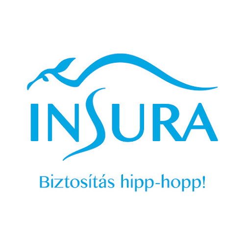 Insura | Biztosítás hipp-hopp! - Biztosító
