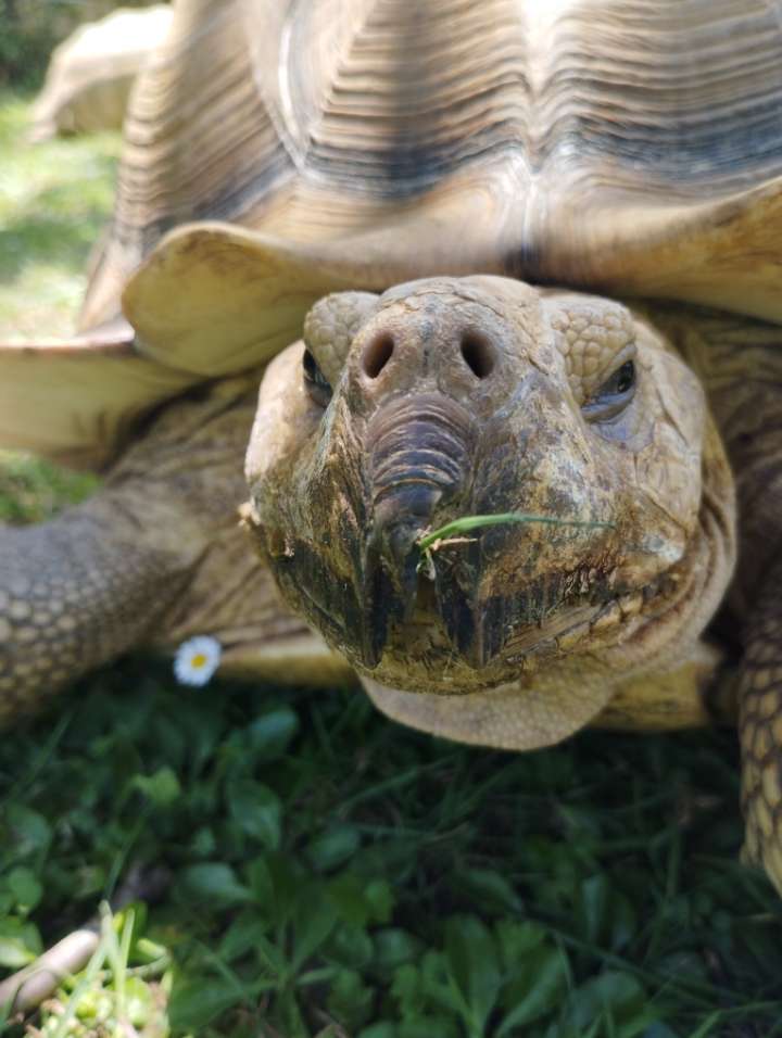 Photo n° 1 de l'avis de Guillaume.a fait le 19/07/2023 à 17:07