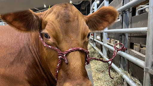 Fairground «Kentucky State Fair Ground», reviews and photos, Crittenden Dr, Louisville, KY 40209, USA