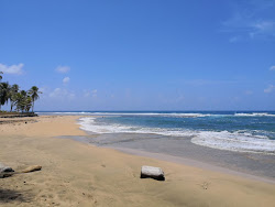 Photo de Palenque Beach avec un niveau de propreté de très propre
