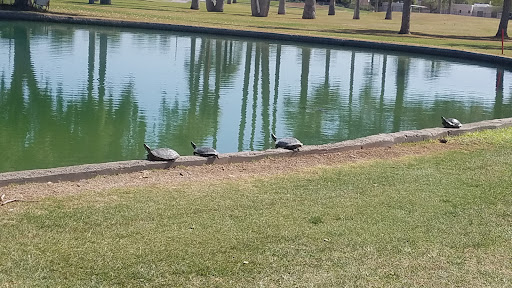 Golf Course «Encanto Golf Course», reviews and photos, 2745 N 15th Ave, Phoenix, AZ 85007, USA