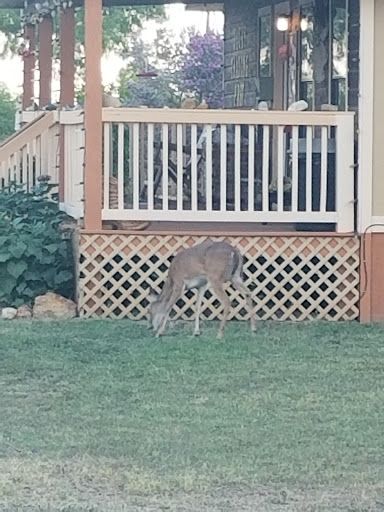 RV Park «Hidden Valley RV Park», reviews and photos, 5706 Coleman Way, Von Ormy, TX 78073, USA