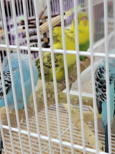 Pet Supply Store «Pet Supermarket», reviews and photos, 2339 NW 13th St, Gainesville, FL 32609, USA