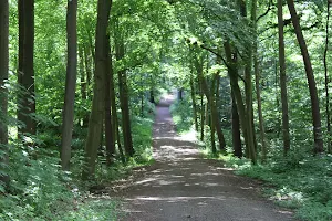 Aplerbecker Wald image